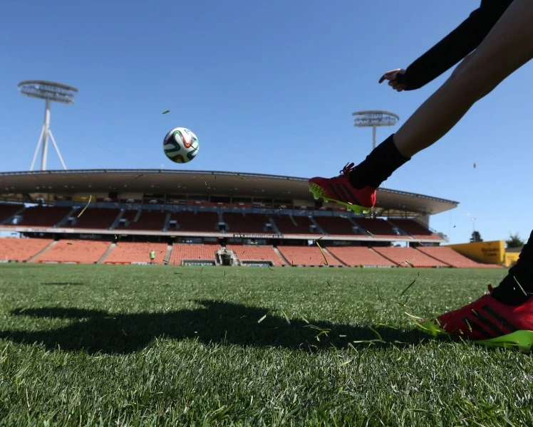 Hamilton cnfirmed for FIFA U 20