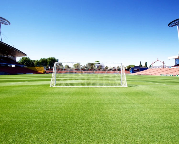 Latin football flair