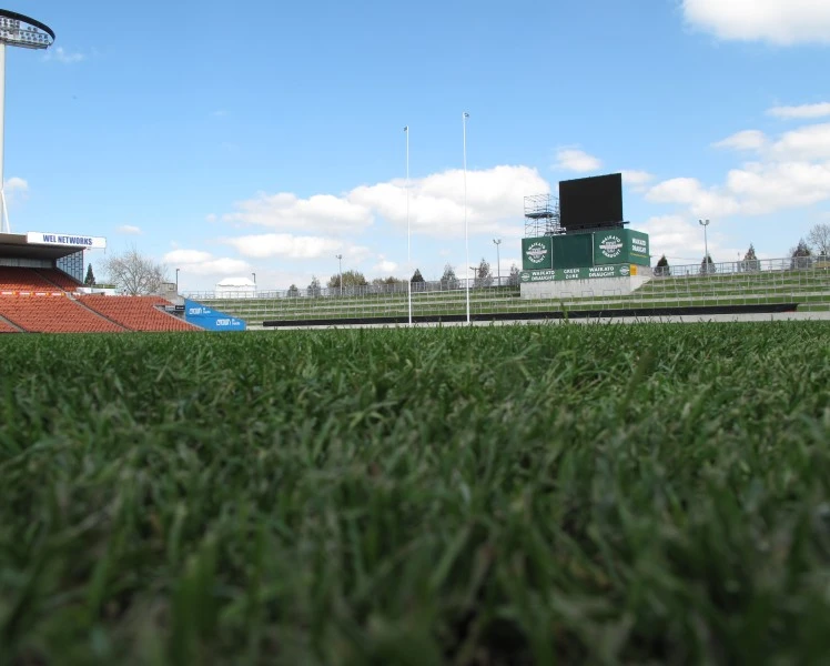 Waikato Stadium to host regions sevens tournament